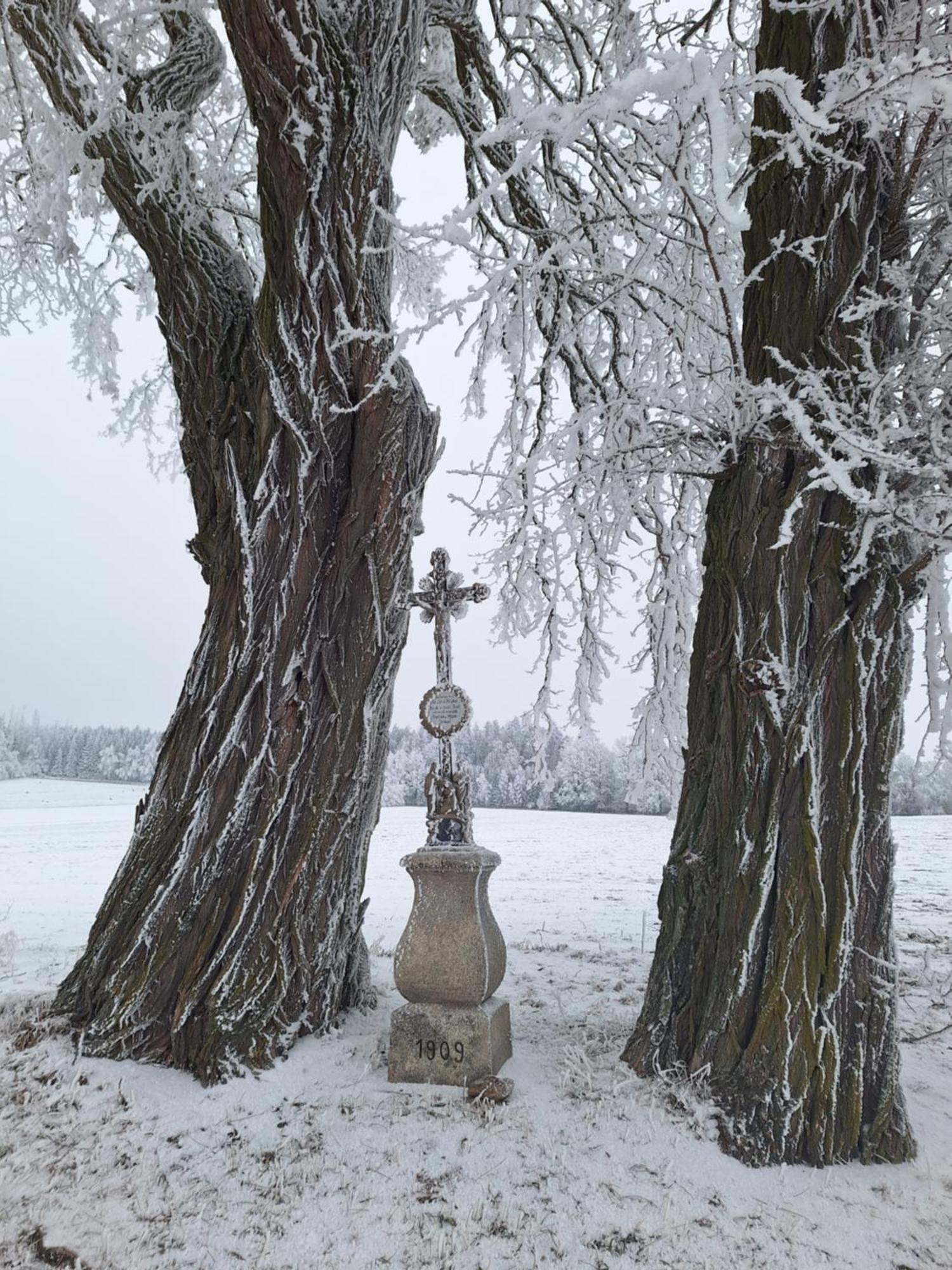 Ubytovani U Krivanku 1 テルチ エクステリア 写真